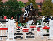 Aroni Quieta Bella GioCav2013 S5 2190 : Aroni Francesco, Campionati Italiani Giovani Cavalli, Cattolica, Quieta Bella, ph Stefano Secchi ©